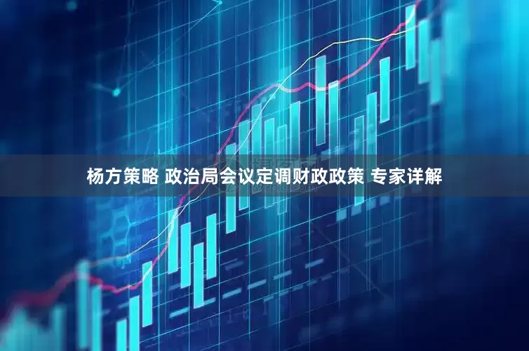杨方策略 政治局会议定调财政政策 专家详解