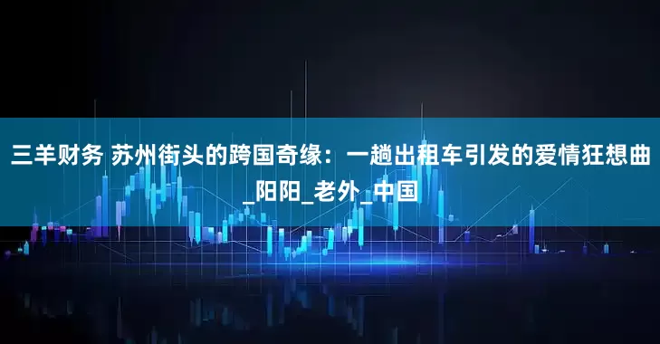 三羊财务 苏州街头的跨国奇缘：一趟出租车引发的爱情狂想曲_阳阳_老外_中国