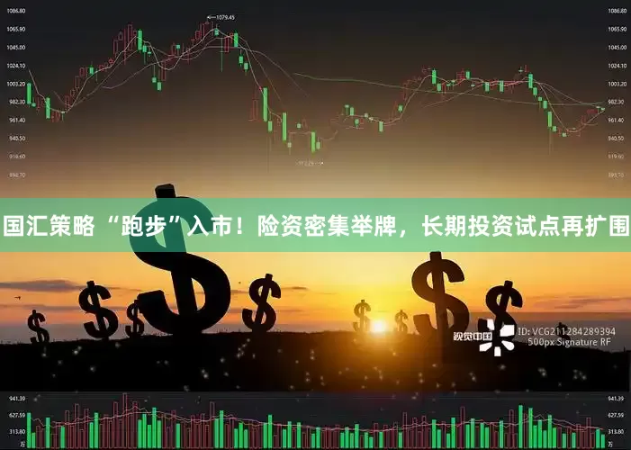 国汇策略 “跑步”入市！险资密集举牌，长期投资试点再扩围