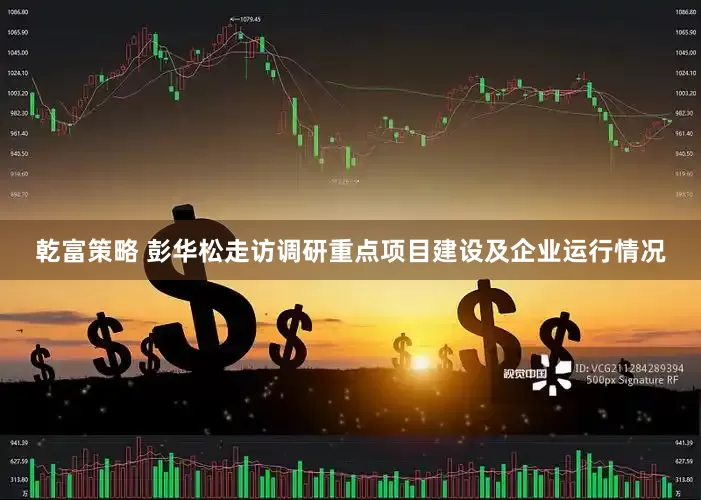 乾富策略 彭华松走访调研重点项目建设及企业运行情况